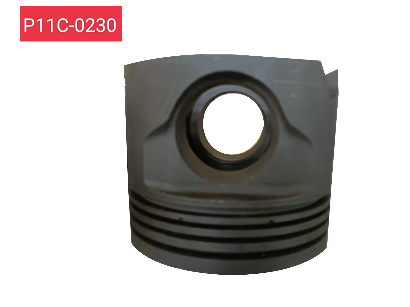 P11C-0230 P11C-0230